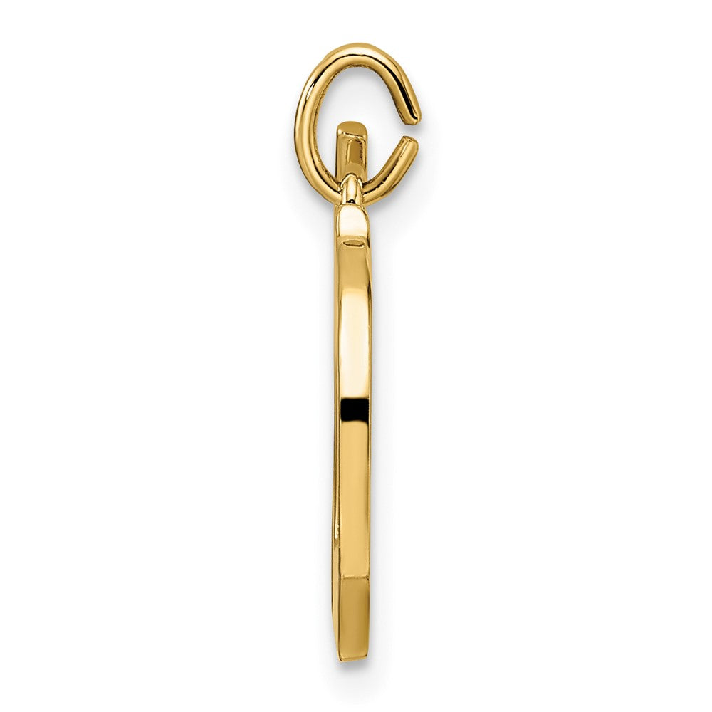 14K Gelbgold Polierter Massiver Mazel-Symbol-Anhänger