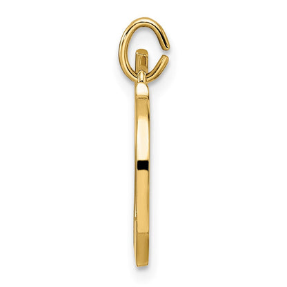 14K Gelbgold Polierter Massiver Mazel-Symbol-Anhänger