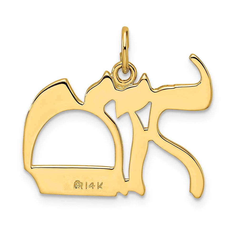 14K Gelbgold Polierter Massiver Mazel-Symbol-Anhänger