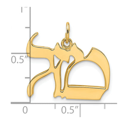 14K Gelbgold Polierter Massiver Mazel-Symbol-Anhänger