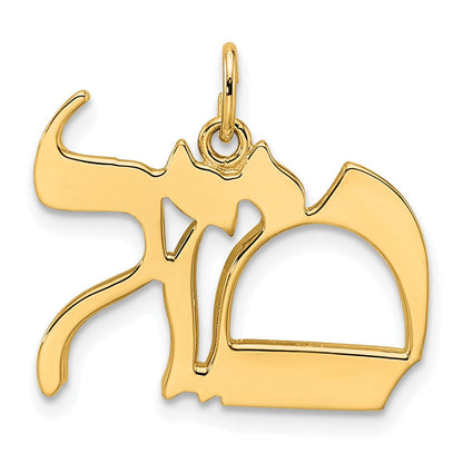 14K Gelbgold Polierter Massiver Mazel-Symbol-Anhänger