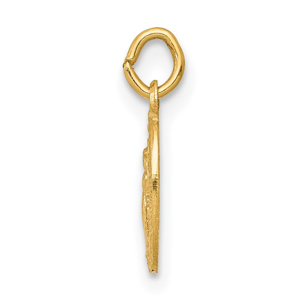 14K Gelbgold 14K Wundertätig Medaille Charm