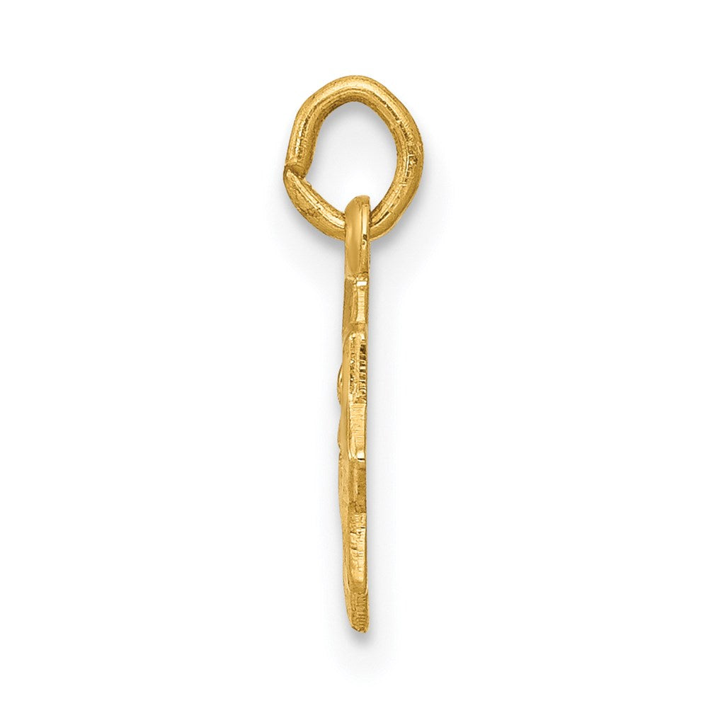 14K Gelbgold 14K Gesegnet Mary Charm