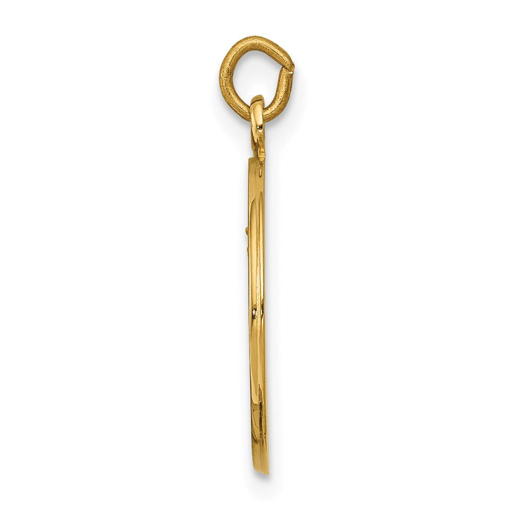 14K Gelbgold Unsere Liebe Frau vom Berge Karmel Medaille-Charm