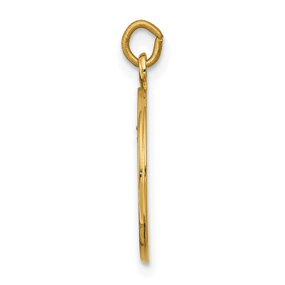 14K Gelbgold Unsere Liebe Frau vom Berge Karmel Medaille-Charm