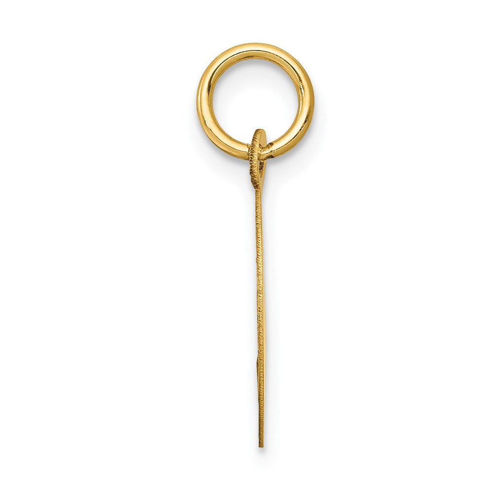 14K Gelbgold 14K Heilig Kommunion Plättchen Charm