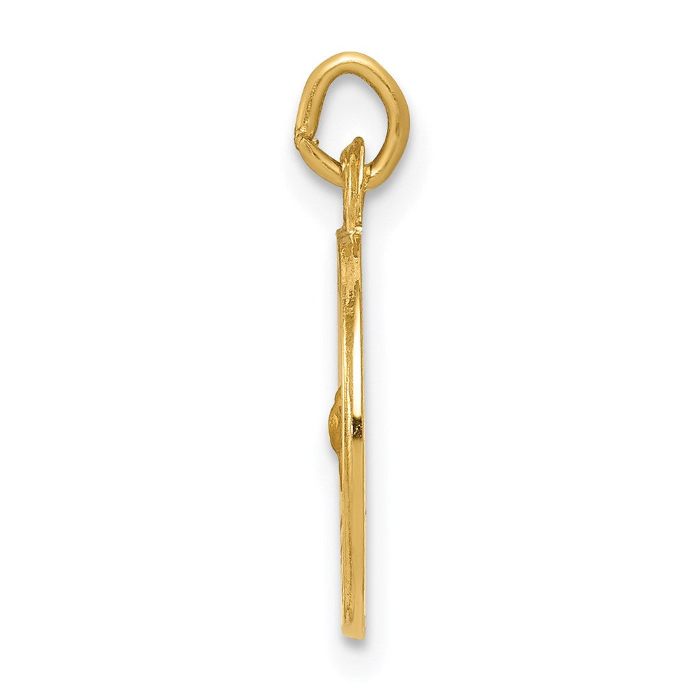 14K Gelbgold Heilig-Geist-Medaille-Charm