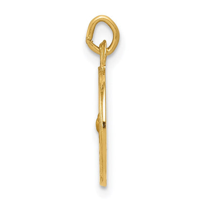 14K Gelbgold Heilig-Geist-Medaille-Charm