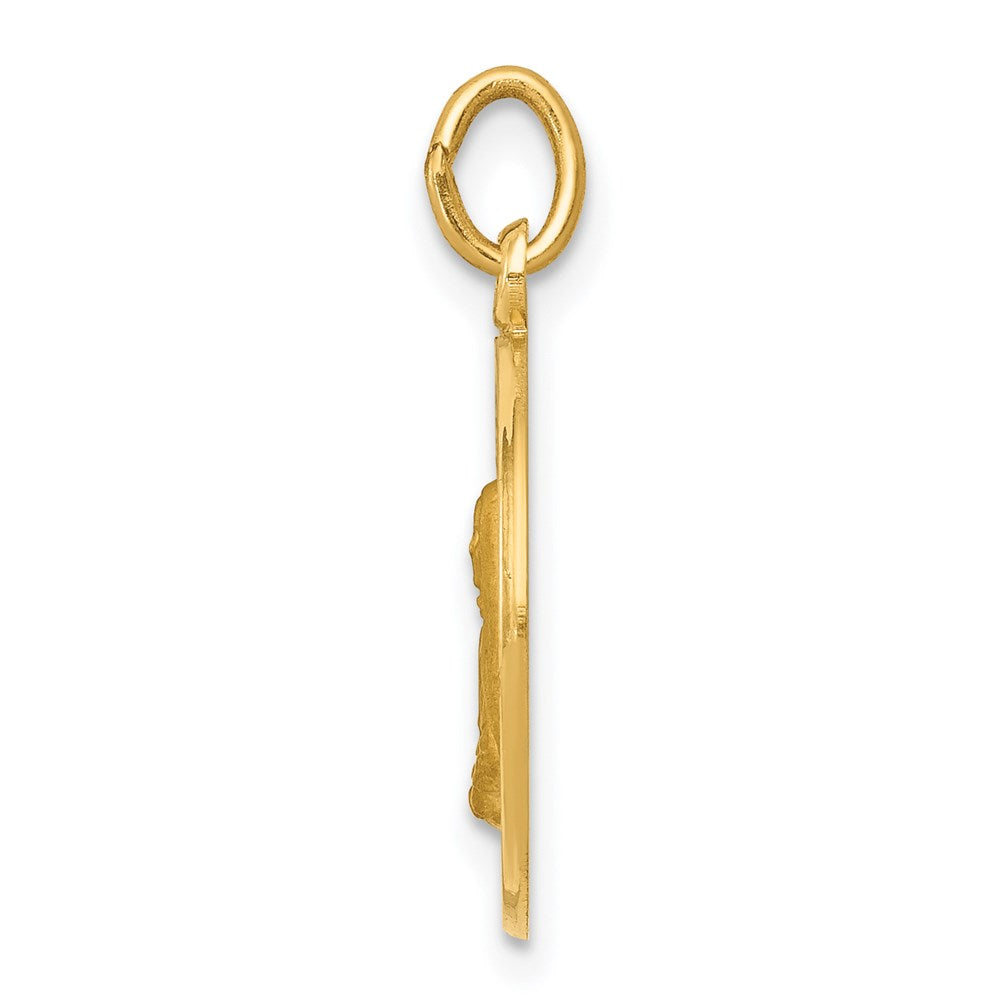 14K Gelbgold Mutter-Cabrini-Medaille Charm