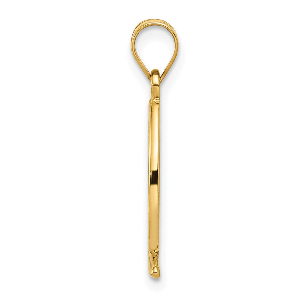 14K Gelbgold Ichthys-Fisch-Anhänger