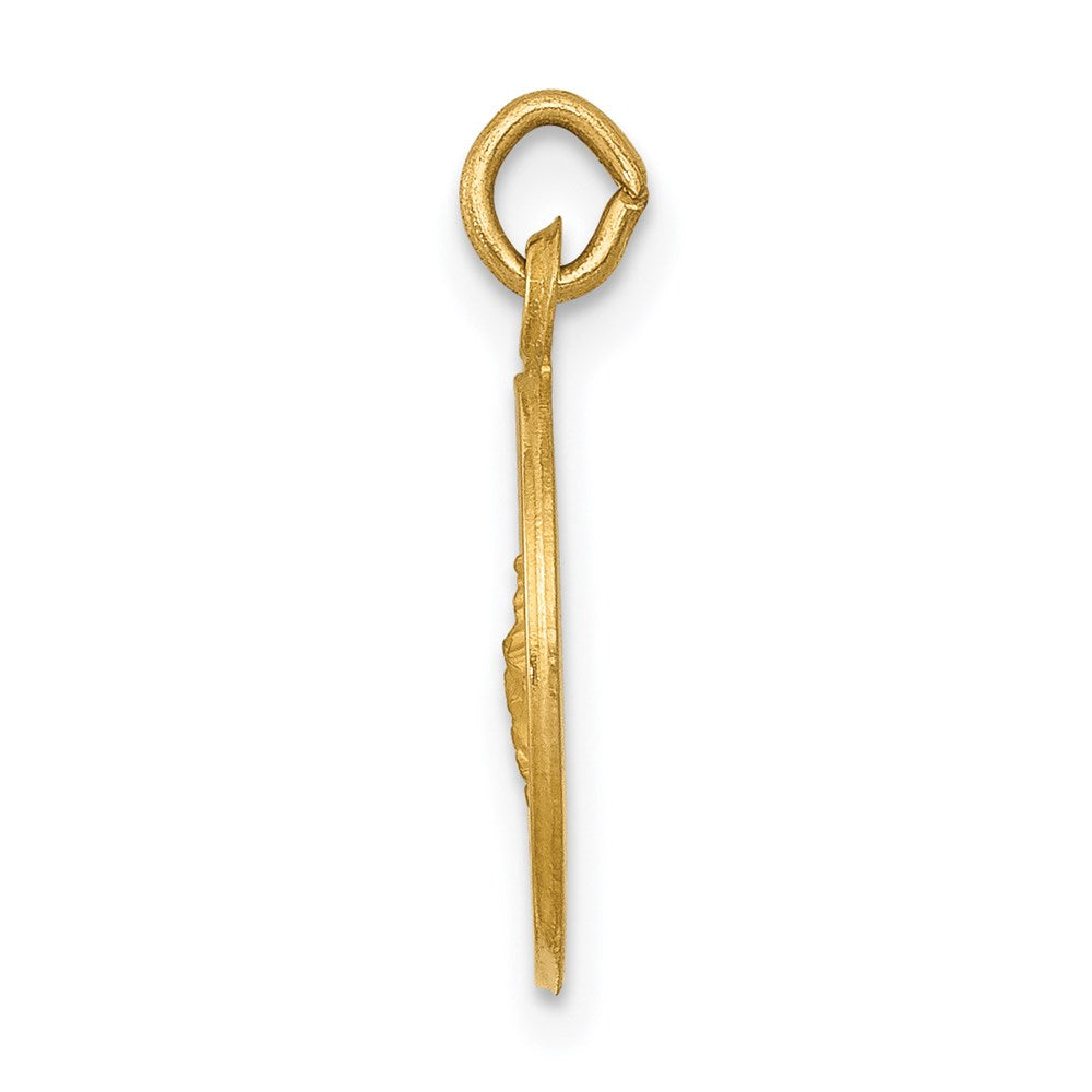 14K Gelbgold Heiliger Georg Medaille Charm