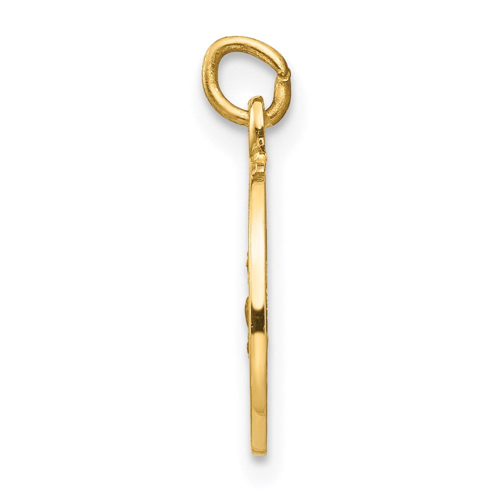 14K Gelbgold Heiliger Rochus Medaillen-Charm