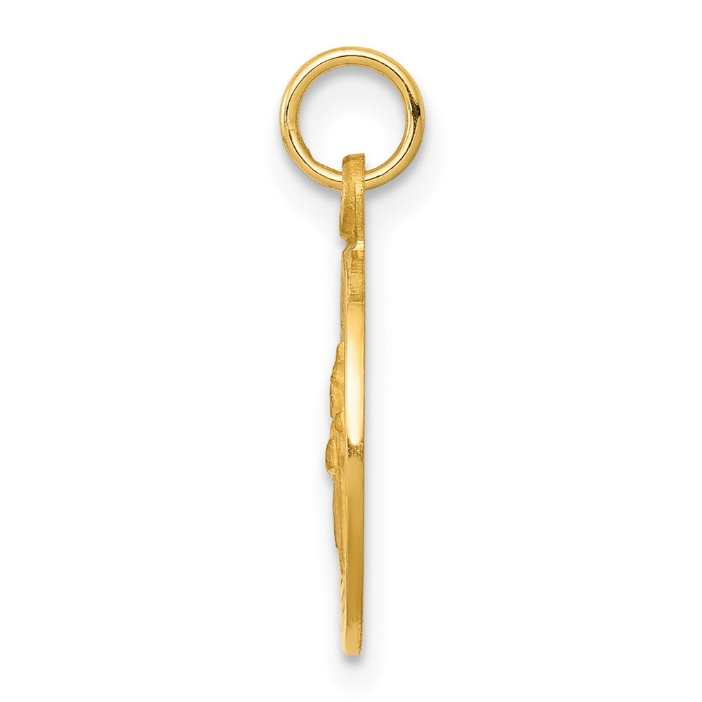 14K Gelbgold Sankt-Patrick-Medaille-Charm