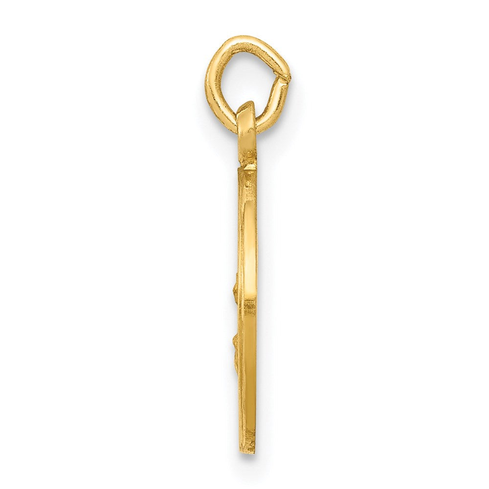14K Gelbgold Mariä-Himmelfahrt-Medaille-Charm
