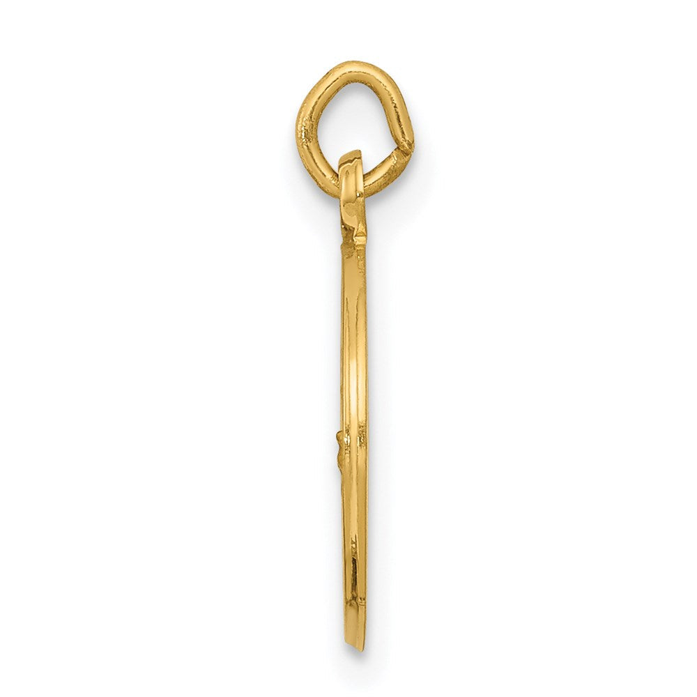 14K Gelbgold Unsere Liebe Frau von Lourdes Medaille Charm