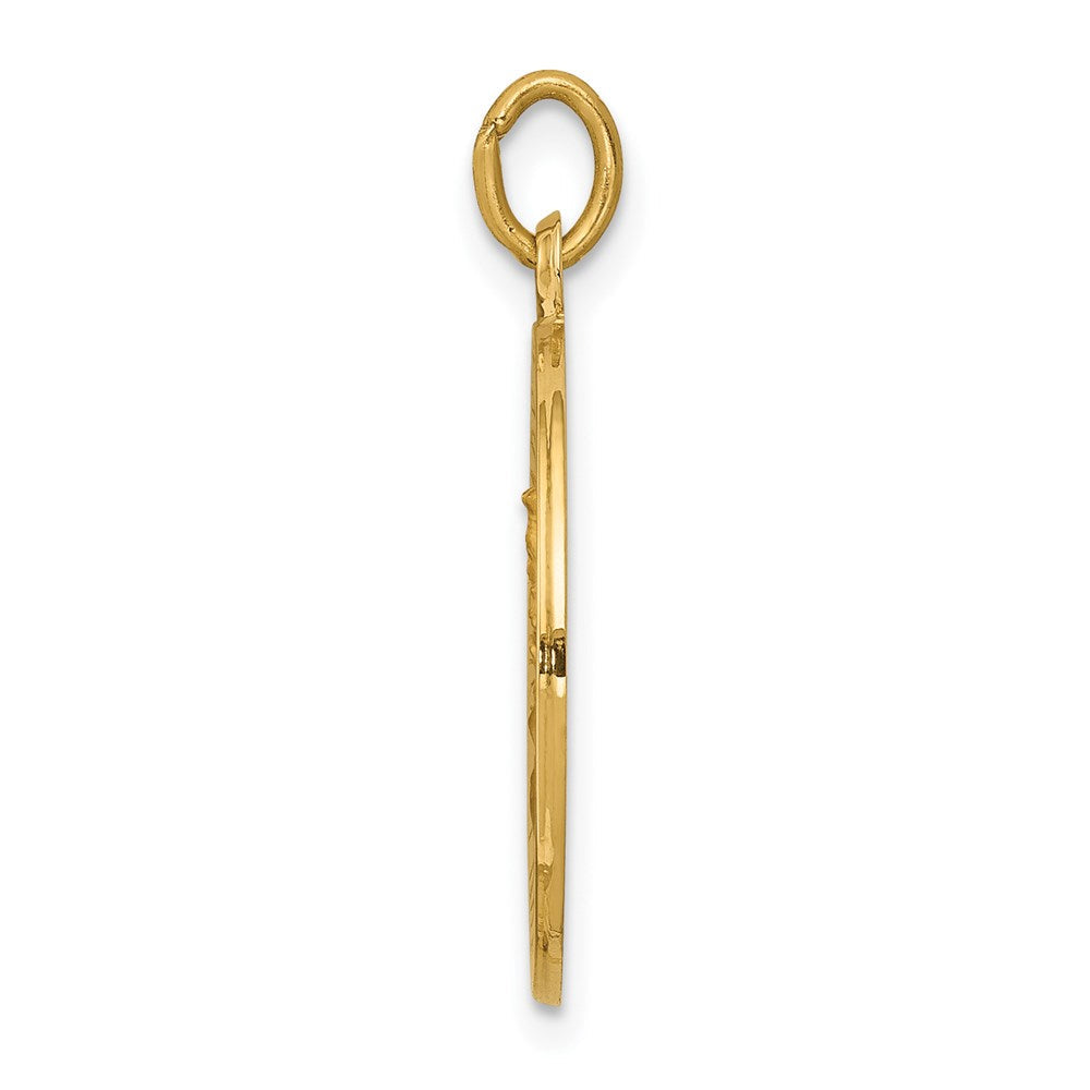 14K Gelbgold Unsere Liebe Frau vom Berge Karmel Medaille Charm
