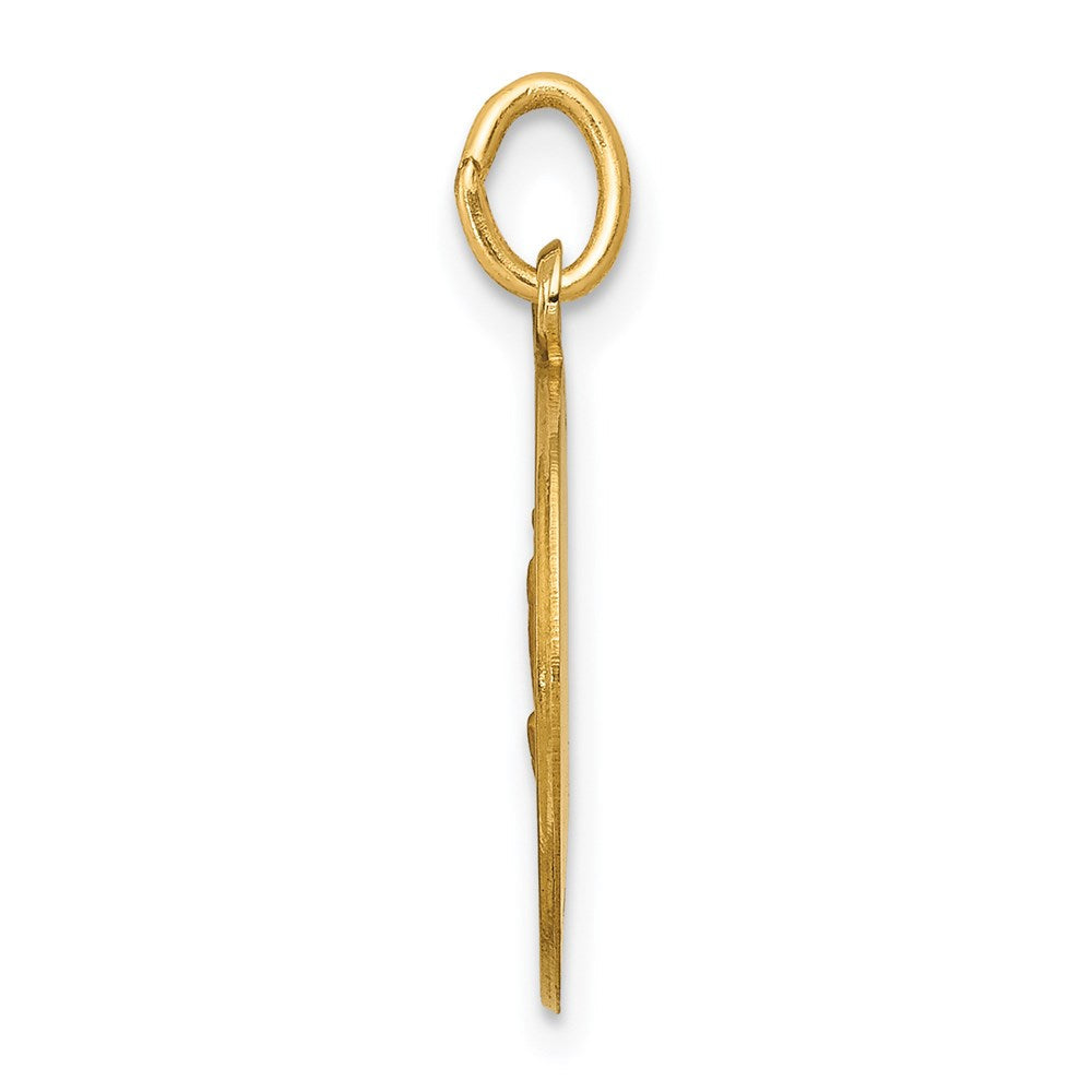 14K Gelbgold Unsere Liebe Frau von Fátima Medaille Charm