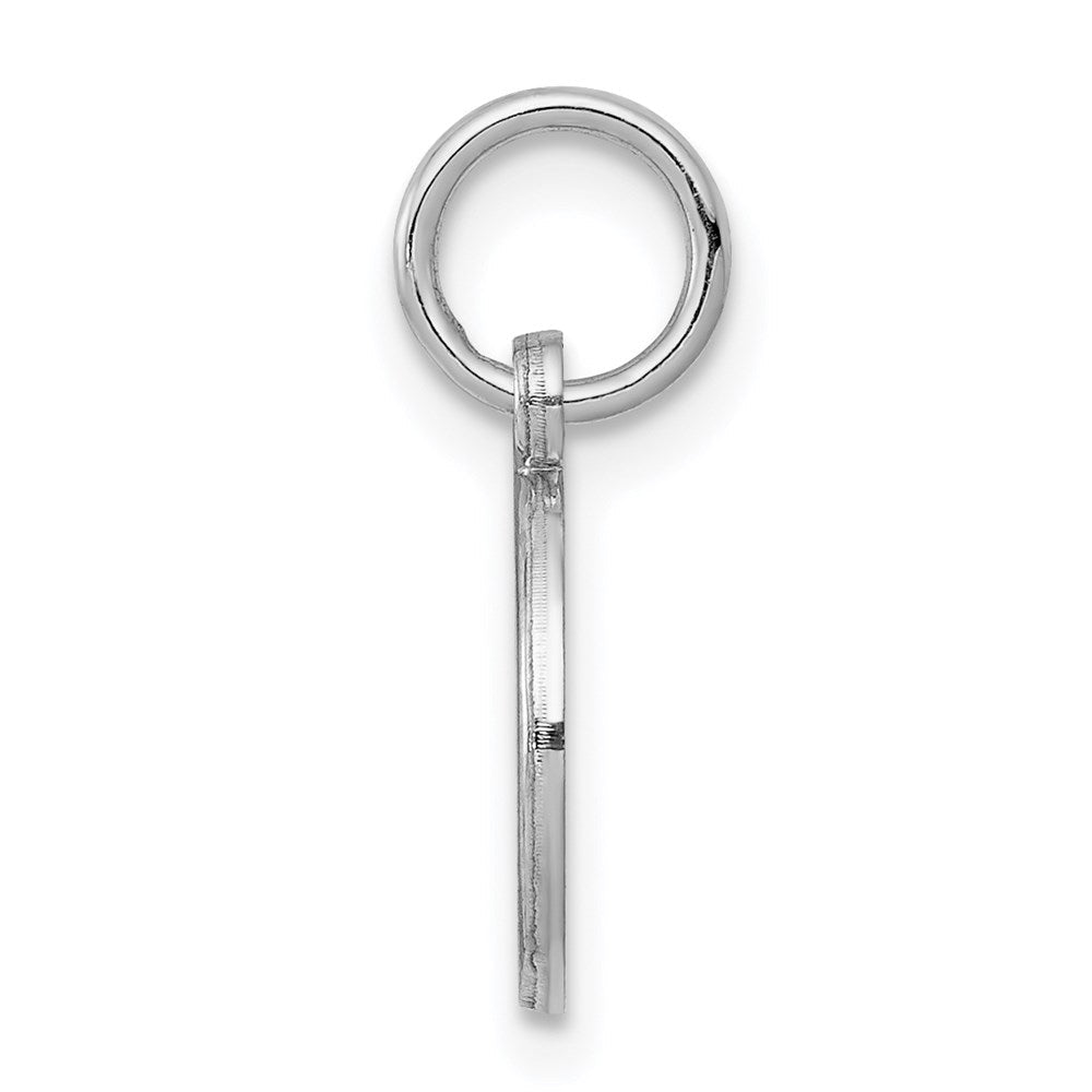 Sterlingsilber Rhodiniert Medizinisch Charm