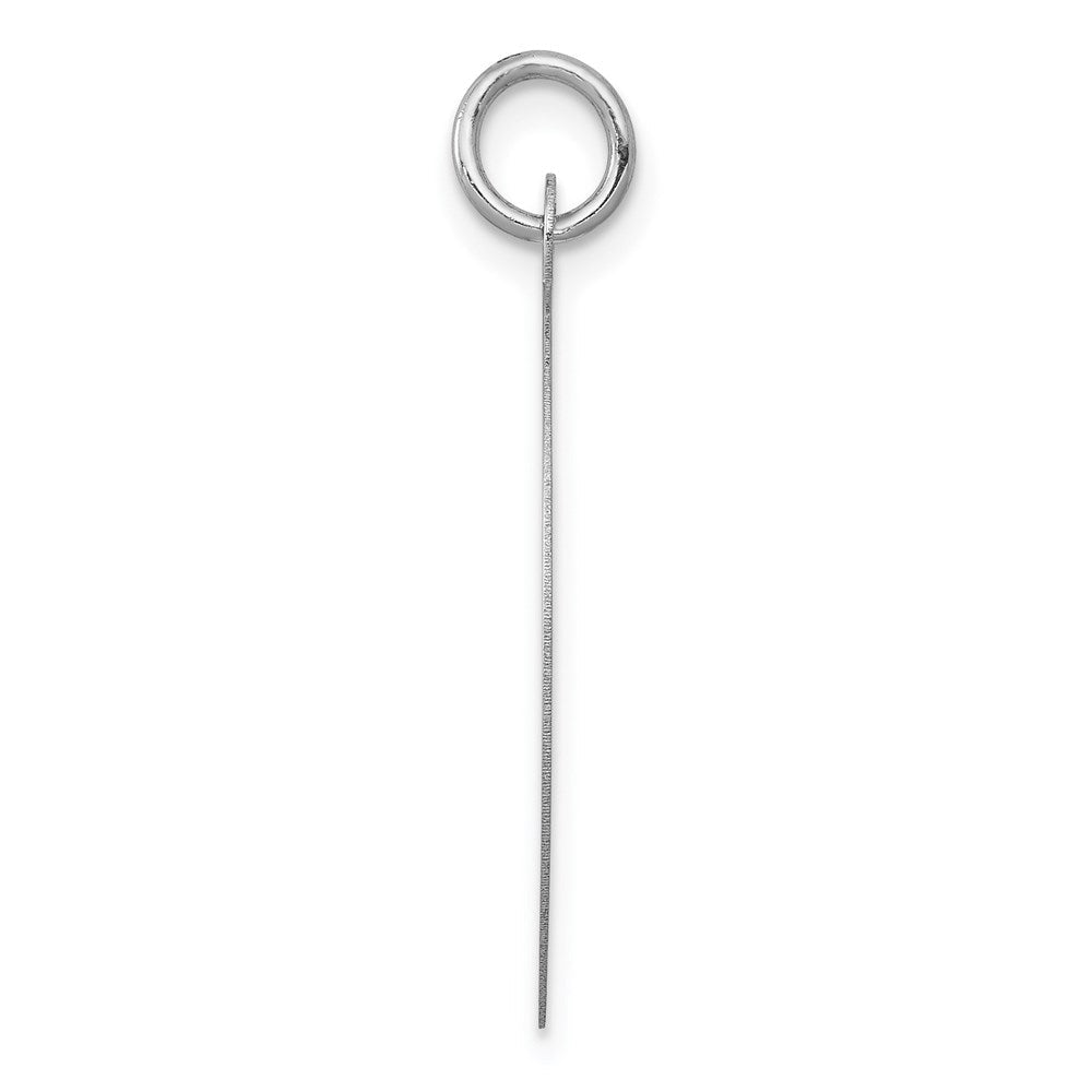 14K Weißgold Rund Plättchen Charm