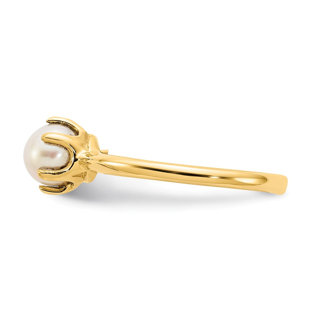 14K Gelbgold Ring mit 5,5 mm Süßwasser-Zuchtperle