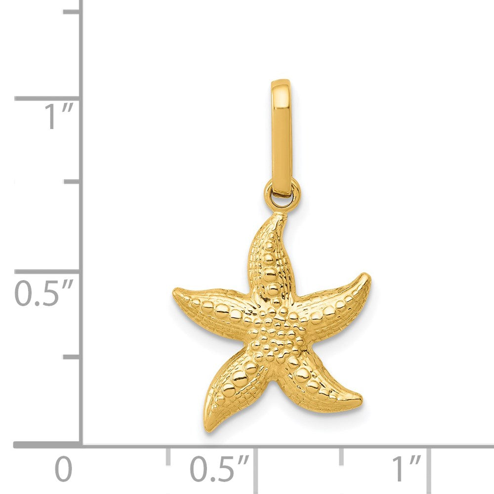 14K Gelbgold 14K Strukturiert Hohl Seestern Anhänger