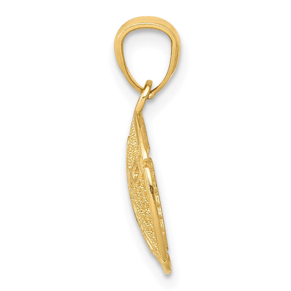 14K Gelbgold 14K Gold Poliert Filigran Sand Dollar Anhänger