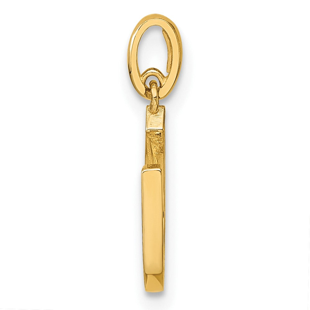 14K Gelbgold 14K Childrens Zirkonia Hufeisen Anhänger