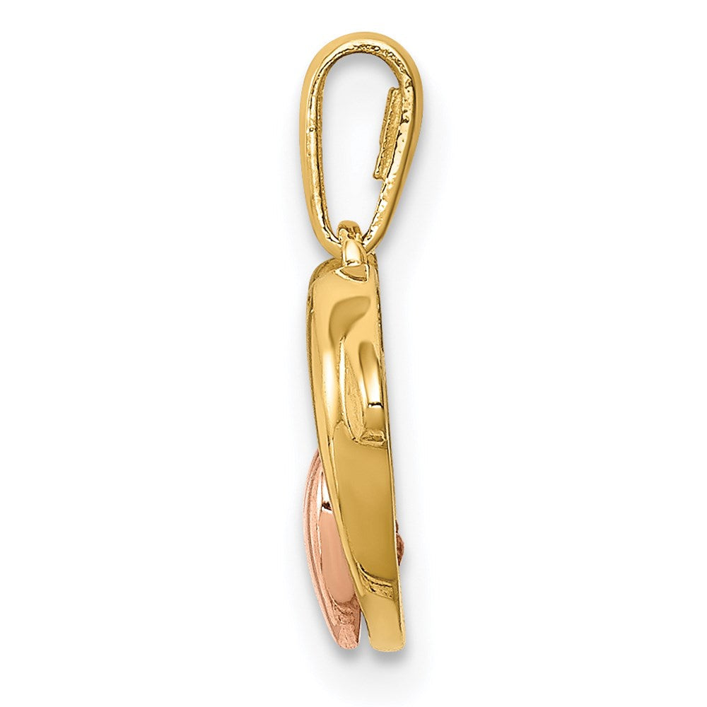 14K Bicolor 14K Bicolor Zirkonia Dolphins mit Herz Anhänger