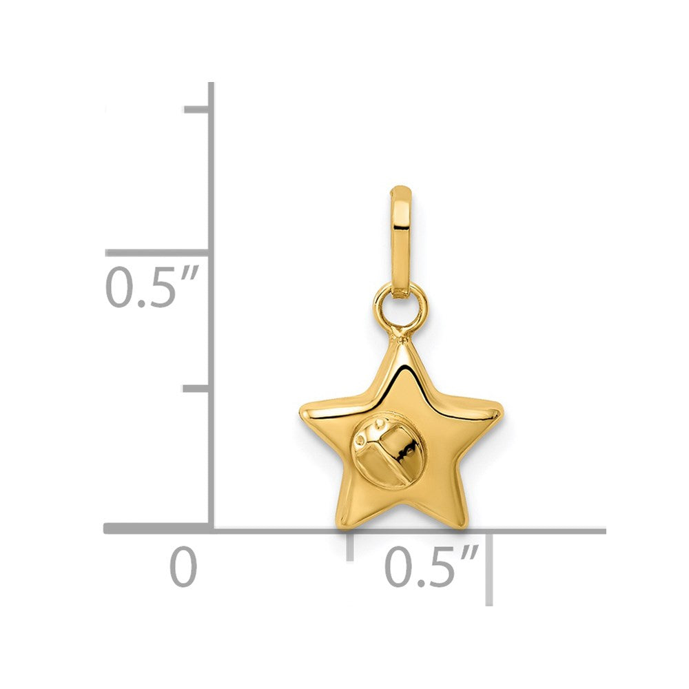 14K Gelbgold 14K Marienkäfer auf A Stern Charm