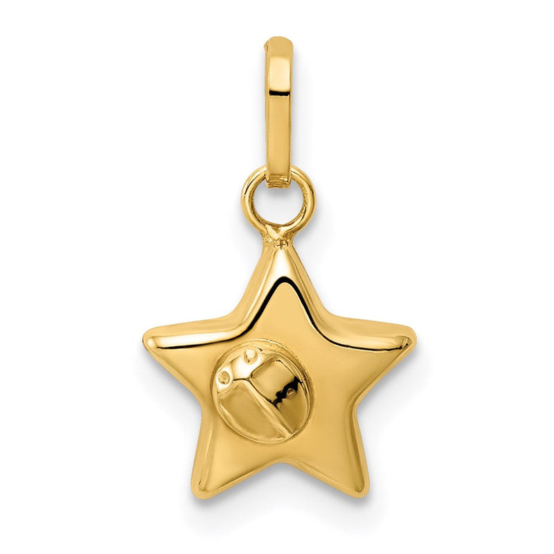14K Gelbgold 14K Marienkäfer auf A Stern Charm