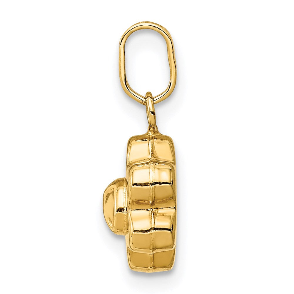 14K Gelbgold 14K Marienkäfer auf A Blume Charm