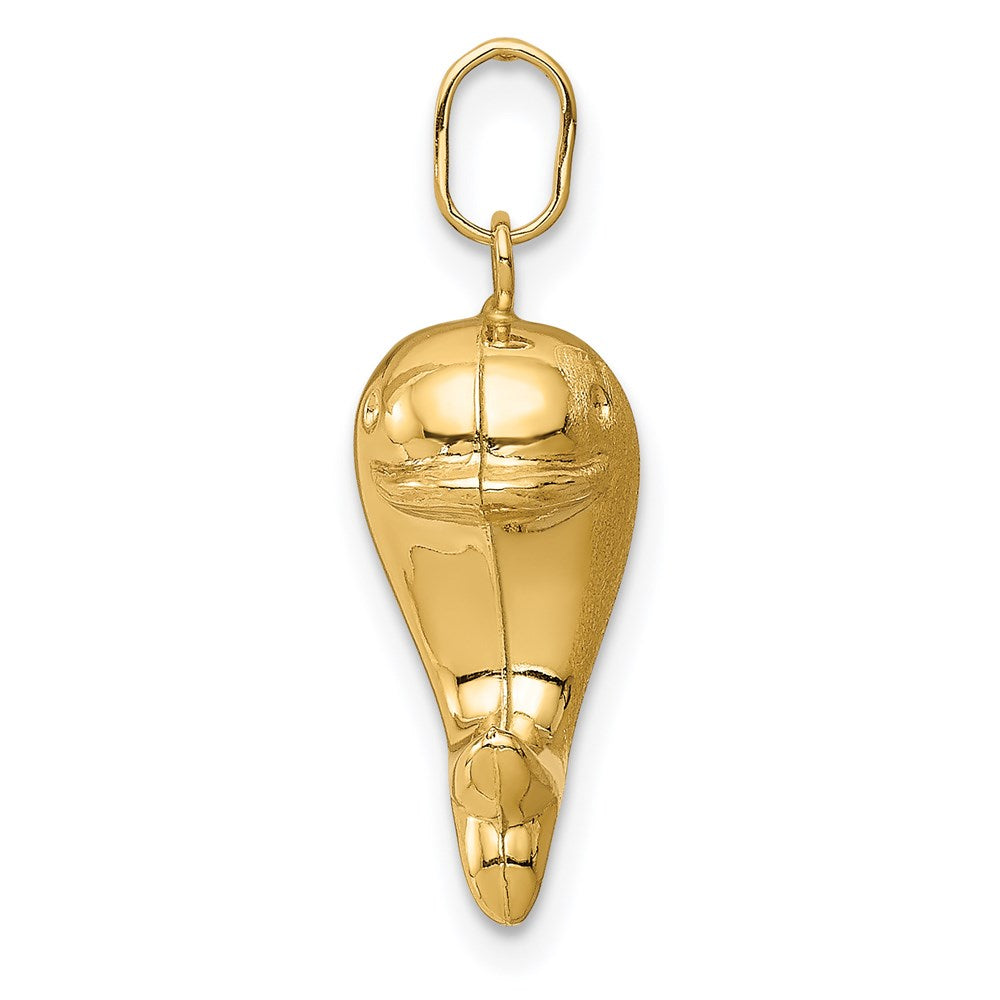 14K Gelbgold 14K Hohl Satiniert & Poliert Fisch Charm