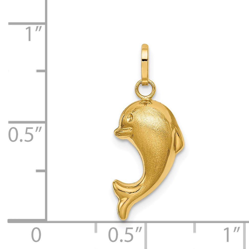 14K Gelbgold 14K Hohl Satiniert & Poliert Fisch Charm