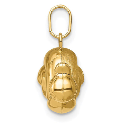 14K Gelbgold 14K Hohl Satiniert & Poliert Snail Charm