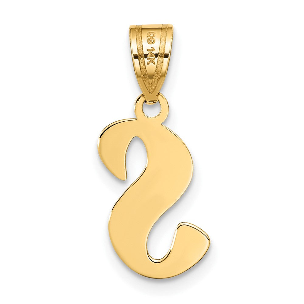 14K Gelbgold 14K Poliert Schreibschrift Buchstabe S Initiale Anhänger