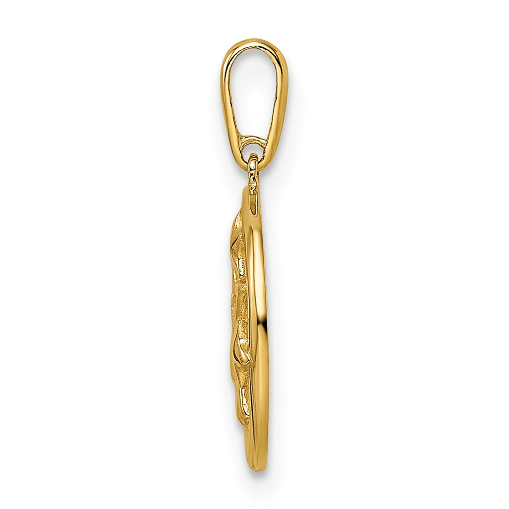 14K Gelbgold 14K Zirkonia Sterne Kreisförmig Anhänger
