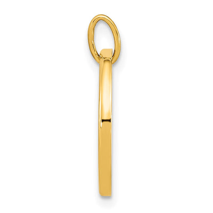 14K Gelbgold Polierter Perlmutt-Erde-Anhänger