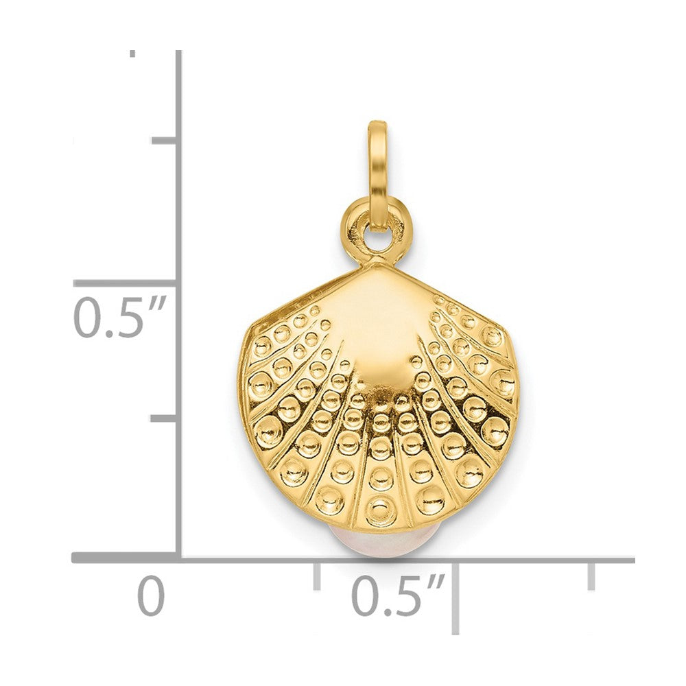 14K Gelbgold 14K Poliert mit Süßwasser Zuchtperle Clam Anhänger