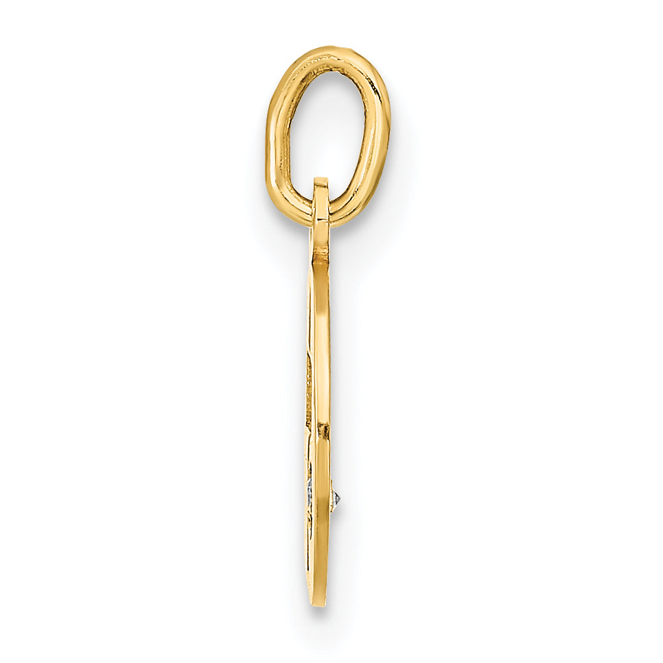 14K Gelbgold 14K Poliert Zirkonia Kreis Kreuz Anhänger