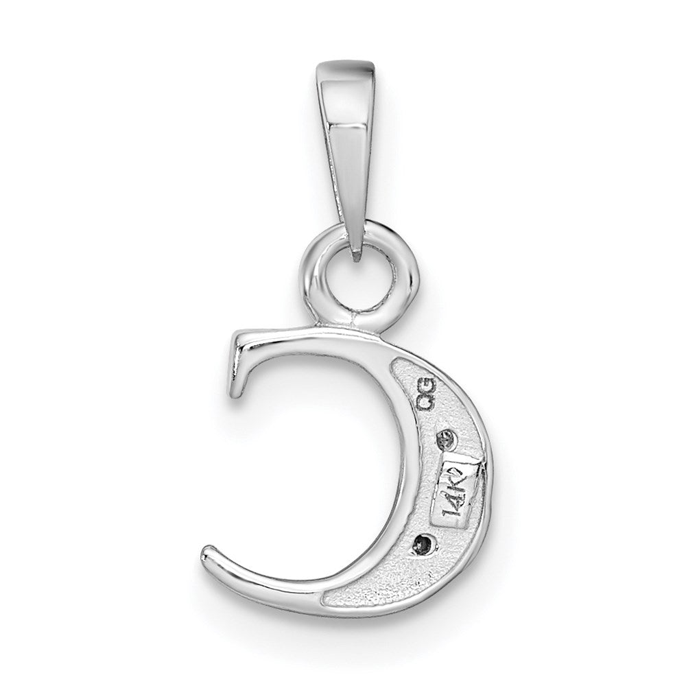 14K Weißgold Anhänger mit Diamant-Initiale „C“, poliert, 0,01 ct