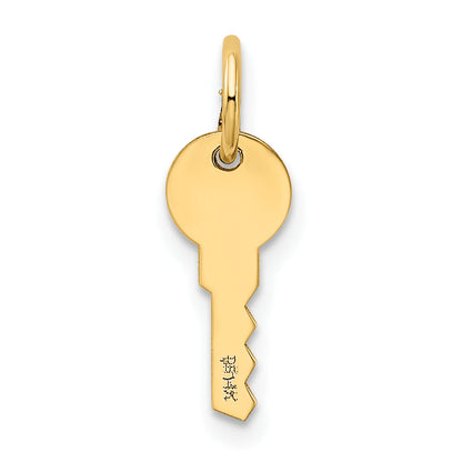 14K Gelbgold 14K Poliert Key Charm