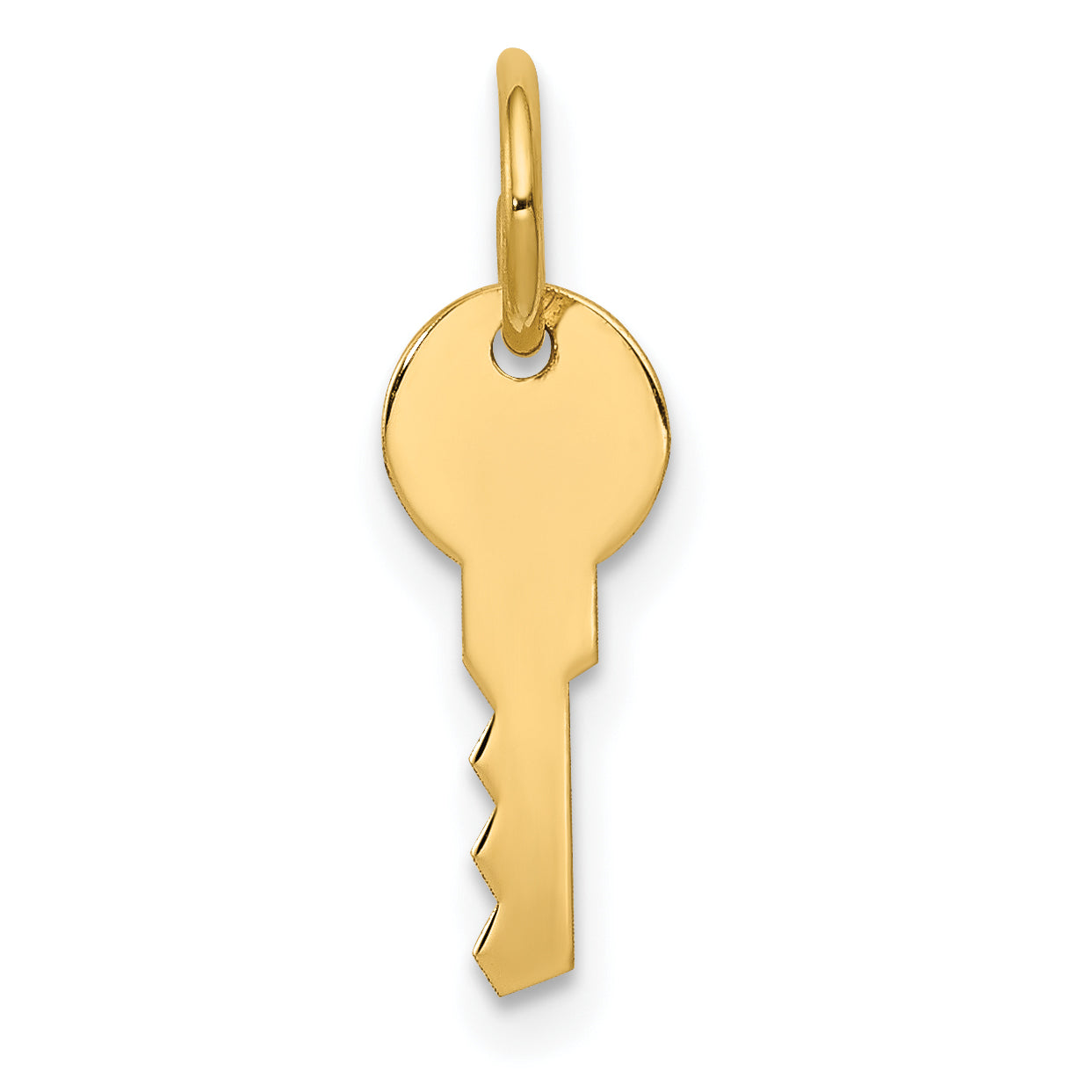 14K Gelbgold 14K Poliert Key Charm