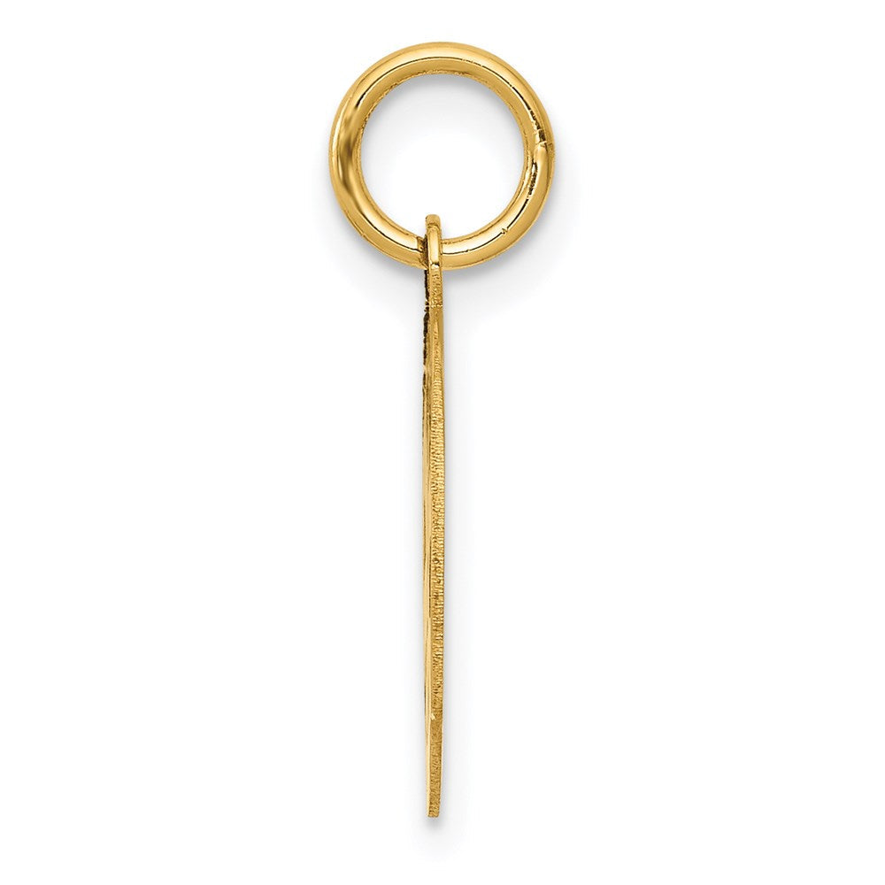 14K Gelbgold 14K Klein Paramedic Medizinisch Charm