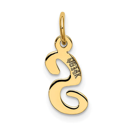 14K Gelbgold 14K Klein Schreibschrift Buchstabe S Initiale Charm