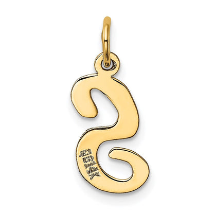 14K Gelbgold 14K Mittel Schreibschrift Buchstabe S Initiale Charm