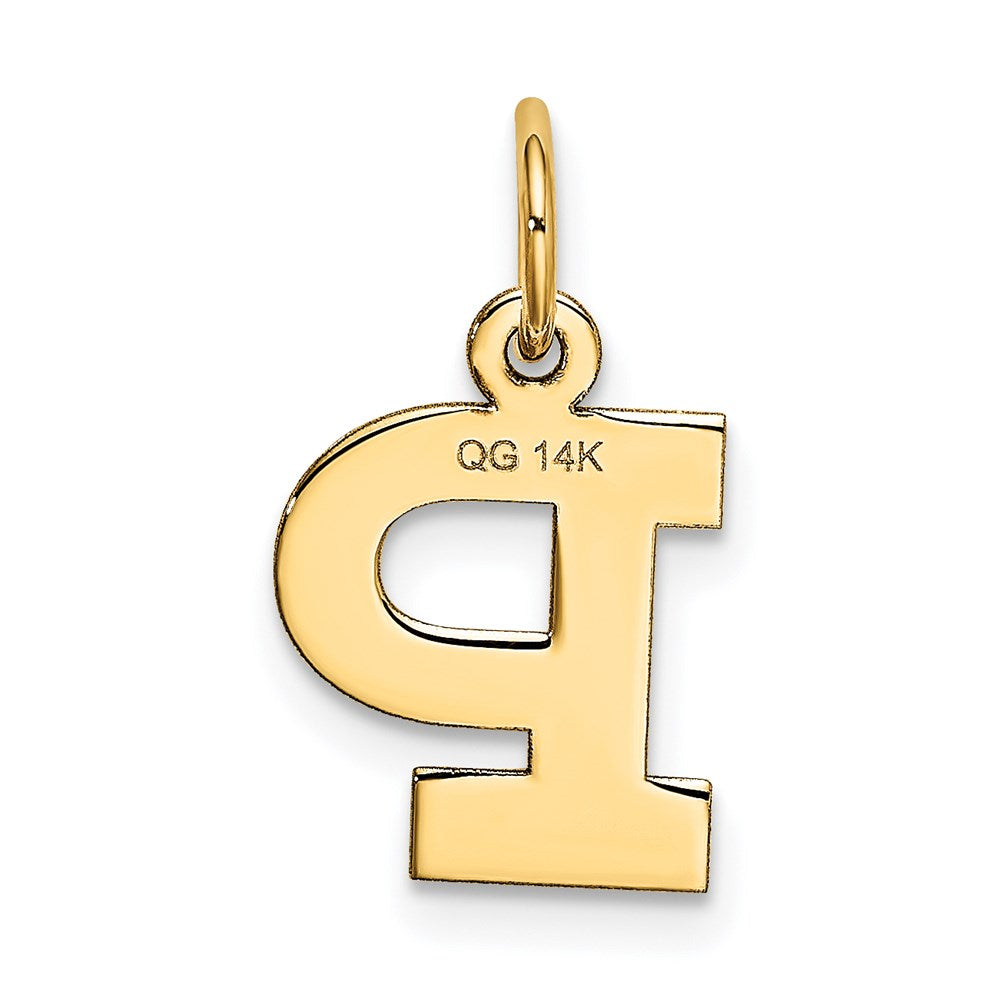 14K Gelbgold 14K Klein Block Buchstabe P Initiale Charm
