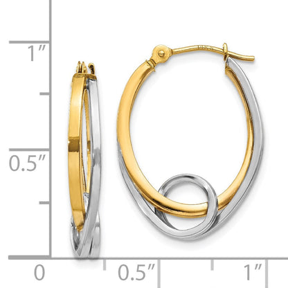 14K Bicolor Oval Loop Creolen