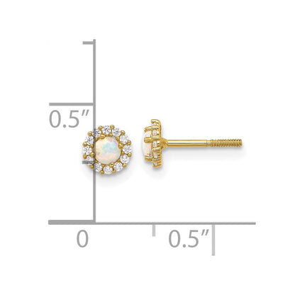 14K Gelbgold Poliert Zirkonia und Erzeugt Opal Kreis Schraubverschluss Ohrstecker