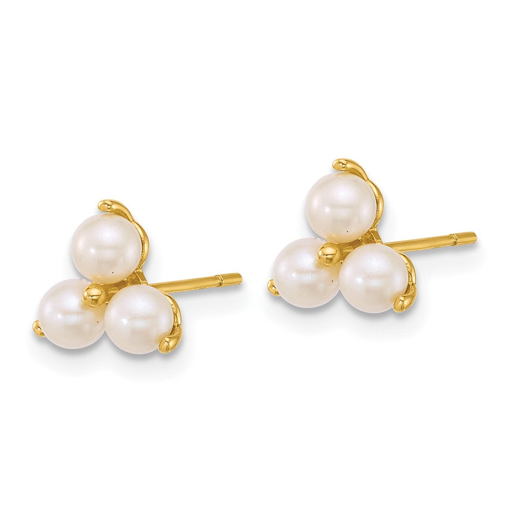 14K Gelbgold Poliert Süßwasser Zucht Pearls Ohrstecker