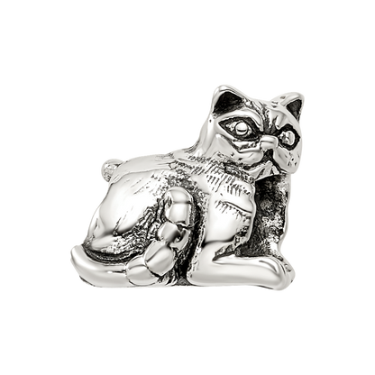 Sterlingsilber Reflections Exotic Shorthair Katze Perle